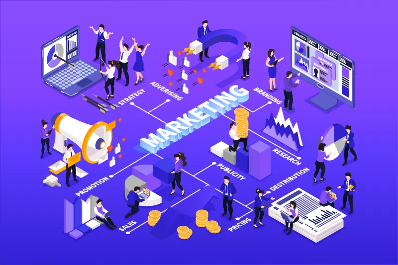 seo in egypt